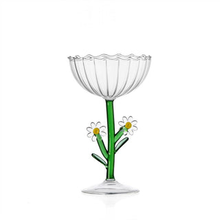BOTANICA Champagne Coupe Daisy