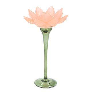 Ljuslykta Näckros L