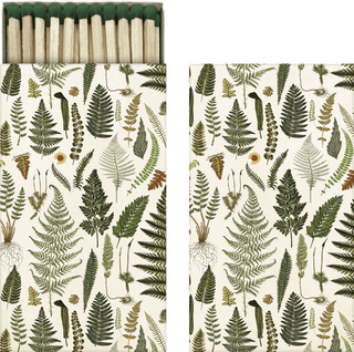 Tändstickor Ormbunkar