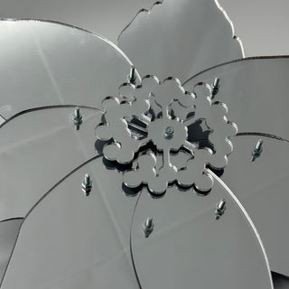 Mirror Wallflower Windflower