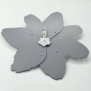 Mirror Wallflower Windflower