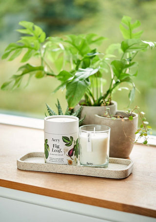 Doftljus Fig Leaf - Black Fig, Vetiver & Cedarwood