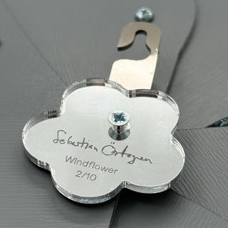 Mirror Wallflower Windflower