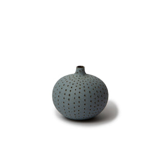 Vas Bari S Light Blue Dots