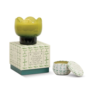 Scented Candle Tulip - Green/Dark Green - Verbena & Lemongrass