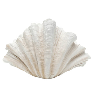 Sculpture Concha 57cm