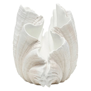 Sculpture Concha 57cm