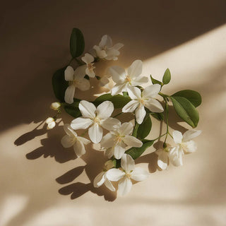 Doftpinnar - Nightfall Cherries