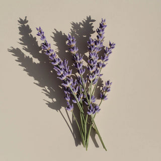 Doftpinnar - Lavender Crush