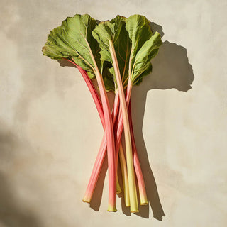 Doftpinnar - Rhubarb Bliss