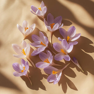 Doftpinnar - Jasmin Hinoki