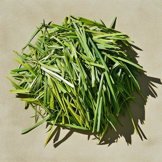 Scent Sticks - Green Fig Vetiver