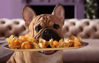 Skulptur Butler Frenchy