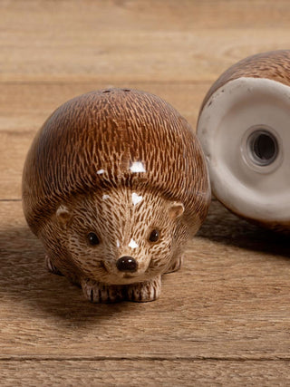 Salt &amp; Pepper Shakers Hedgehog