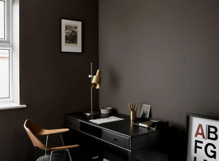 FTT-015™ Raw Umber