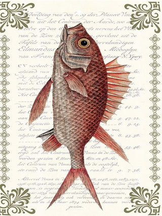 Keramikfat Redfish