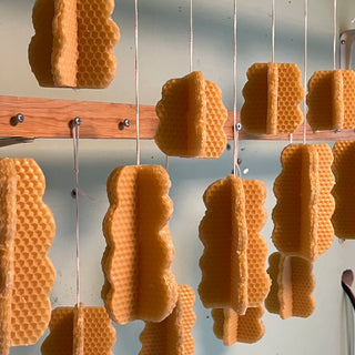 Workshop i Ljusskapande